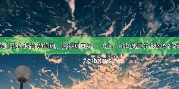 下图是某家族白化病遗传系谱图。请据图回答：（注：白化病属于常染色体遗传病 设显性