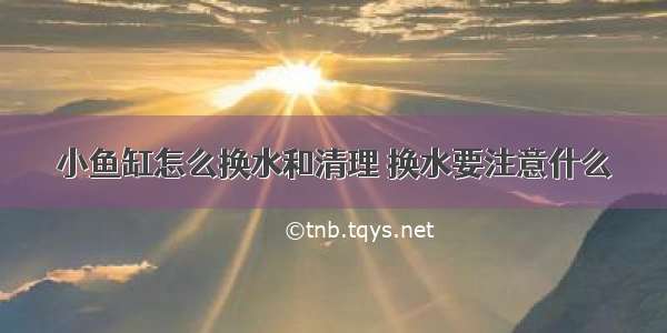 小鱼缸怎么换水和清理 换水要注意什么