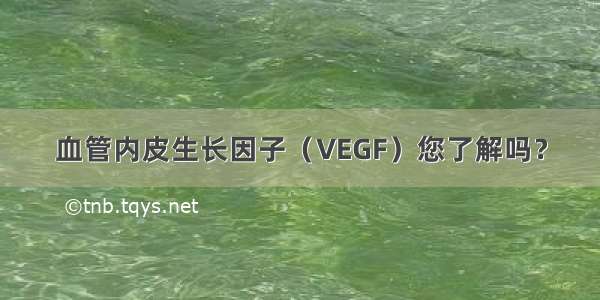 血管内皮生长因子（VEGF）您了解吗？