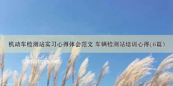 机动车检测站实习心得体会范文 车辆检测站培训心得(6篇)