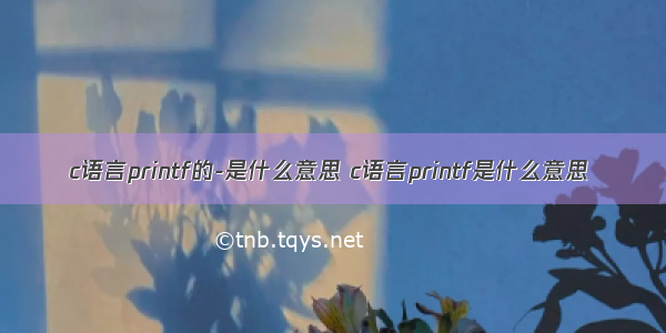 c语言printf的-是什么意思 c语言printf是什么意思