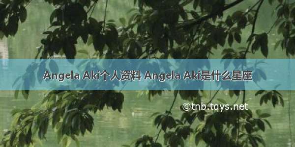 Angela Aki个人资料 Angela Aki是什么星座