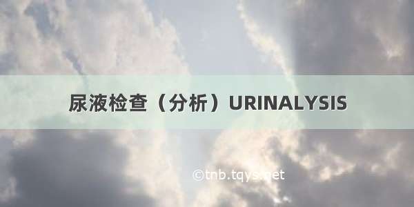 尿液检查（分析）URINALYSIS