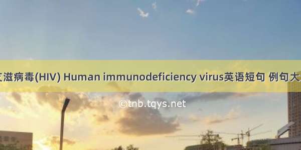 艾滋病毒(HIV) Human immunodeficiency virus英语短句 例句大全