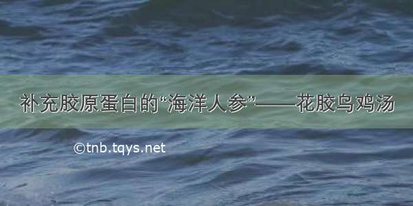 补充胶原蛋白的“海洋人参”——花胶乌鸡汤