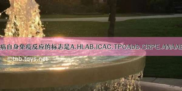 1型糖尿病自身免疫反应的标志是A.HLAB.ICAC.TPOAbD.CRPE.ANAABCDE