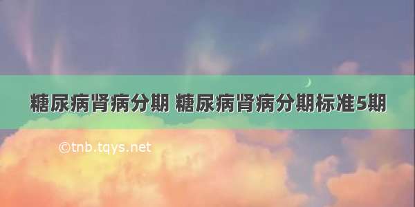 糖尿病肾病分期 糖尿病肾病分期标准5期