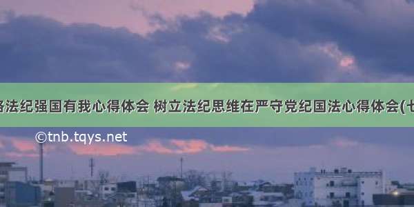 严格法纪强国有我心得体会 树立法纪思维在严守党纪国法心得体会(七篇)