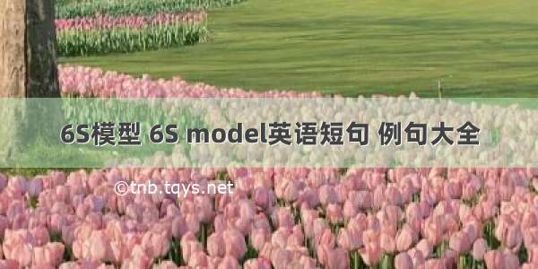 6S模型 6S model英语短句 例句大全