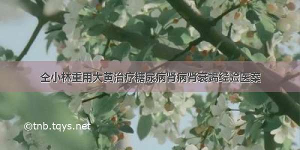 仝小林重用大黄治疗糖尿病肾病肾衰竭经验医案