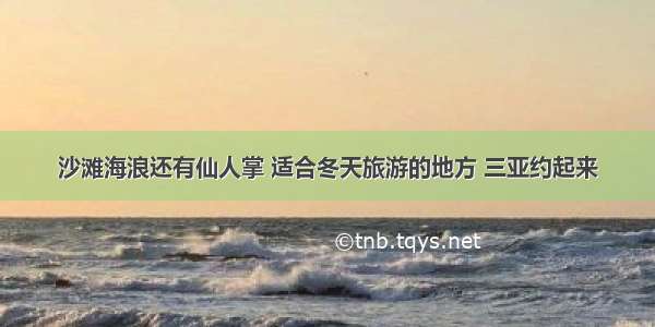 沙滩海浪还有仙人掌 适合冬天旅游的地方 三亚约起来