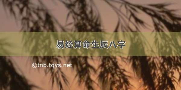 易经算命生辰八字