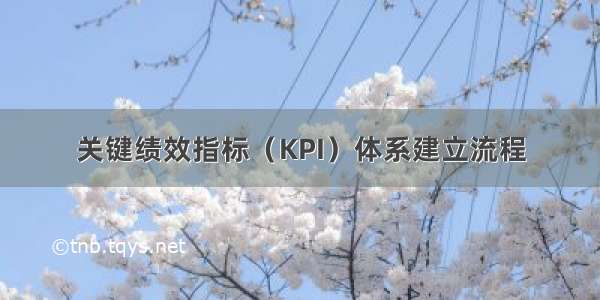 关键绩效指标（KPI）体系建立流程