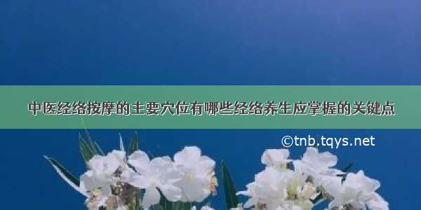 中医经络按摩的主要穴位有哪些经络养生应掌握的关键点