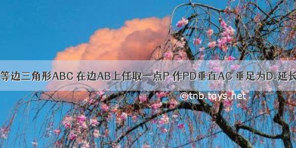 已知边长为1的等边三角形ABC 在边AB上任取一点P 作PD垂直AC 垂足为D.延长BC至Q 使CQ