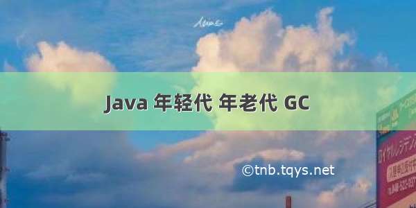 Java 年轻代 年老代 GC