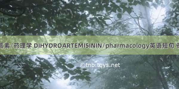 双氢青蒿素/药理学 DIHYDROARTEMISININ/pharmacology英语短句 例句大全