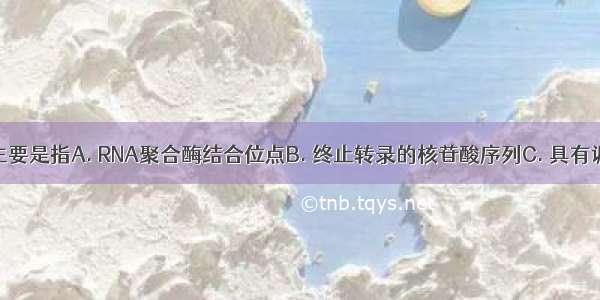 目的基因主要是指A. RNA聚合酶结合位点B. 终止转录的核苷酸序列C. 具有调控作用转