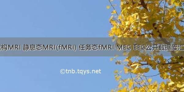 结构MRI 静息态MRI(fMRI) 任务态fMRI MEG EEG公开数据库汇总