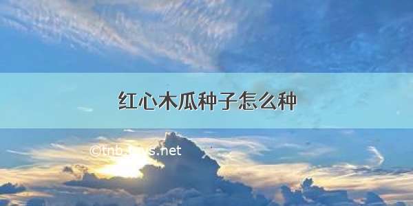 红心木瓜种子怎么种