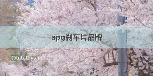 apg刹车片品牌