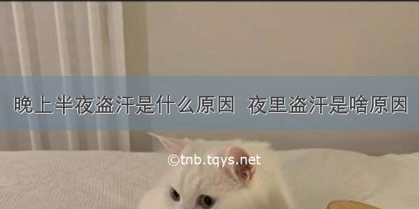 晚上半夜盗汗是什么原因  夜里盗汗是啥原因