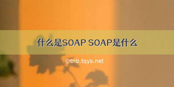 什么是SOAP SOAP是什么