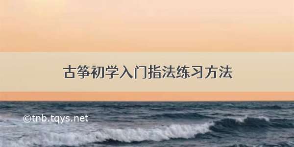 古筝初学入门指法练习方法