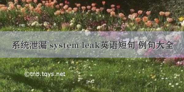 系统泄漏 system leak英语短句 例句大全