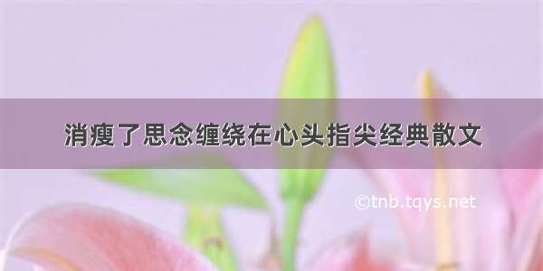 消瘦了思念缠绕在心头指尖经典散文