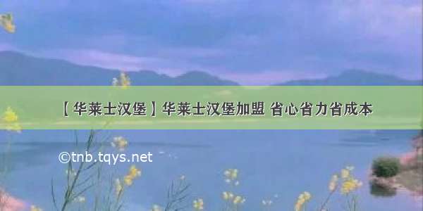 【华莱士汉堡】华莱士汉堡加盟 省心省力省成本