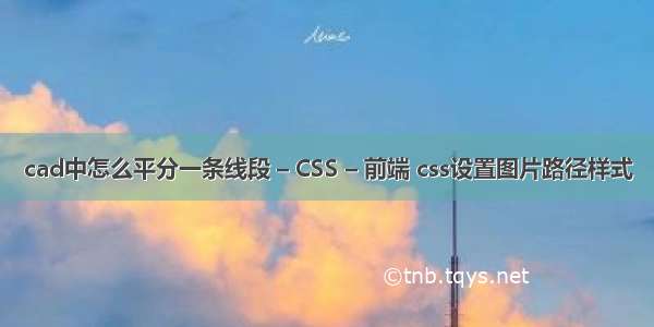 cad中怎么平分一条线段 – CSS – 前端 css设置图片路径样式