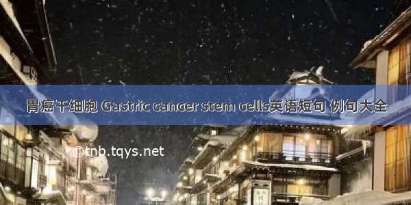 胃癌干细胞 Gastric cancer stem cells英语短句 例句大全