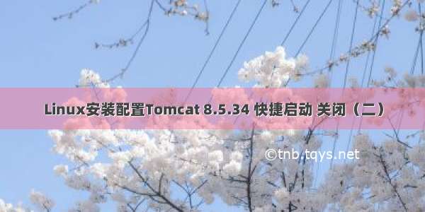 Linux安装配置Tomcat 8.5.34 快捷启动 关闭（二）