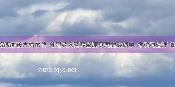 两个完全相同的长方体木块 分别放入两种密度不同的液体中 木块均漂浮 如图所示 甲