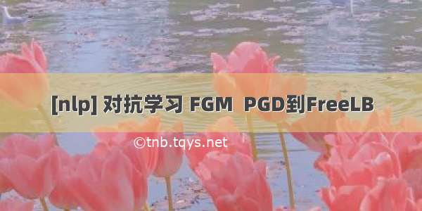 [nlp] 对抗学习 FGM  PGD到FreeLB