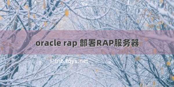 oracle rap 部署RAP服务器