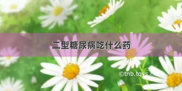 二型糖尿病吃什么药