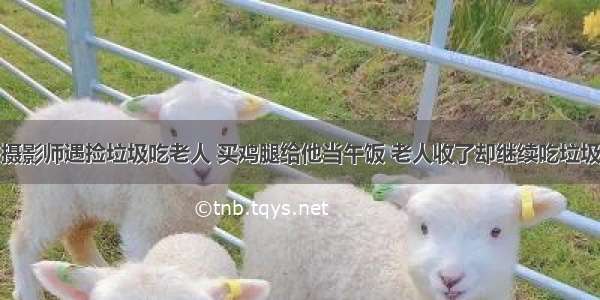 摄影师遇捡垃圾吃老人 买鸡腿给他当午饭 老人收了却继续吃垃圾