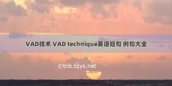 VAD技术 VAD technique英语短句 例句大全