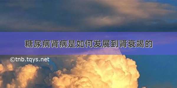 糖尿病肾病是如何发展到肾衰竭的