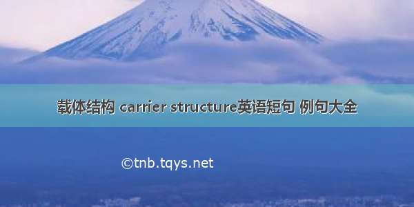 载体结构 carrier structure英语短句 例句大全