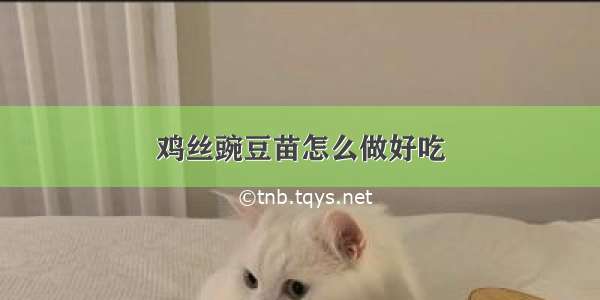 鸡丝豌豆苗怎么做好吃