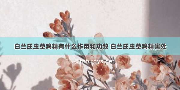 白兰氏虫草鸡精有什么作用和功效 白兰氏虫草鸡精害处