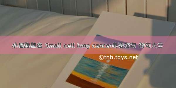 小细胞肺癌 Small cell lung cancer英语短句 例句大全