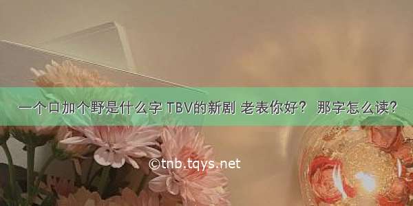 一个口加个野是什么字 TBV的新剧 老表你好？ 那字怎么读？