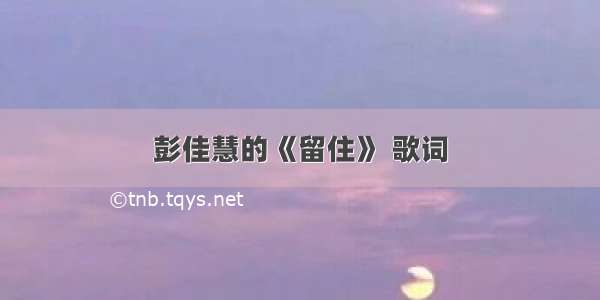 彭佳慧的《留住》 歌词