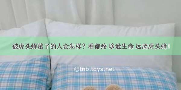 被虎头蜂蛰了的人会怎样？看都疼 珍爱生命 远离虎头蜂！