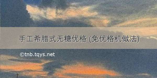 手工希腊式无糖优格 (免优格机做法)