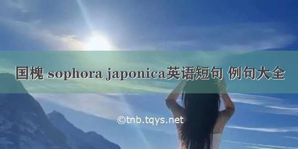 国槐 sophora japonica英语短句 例句大全